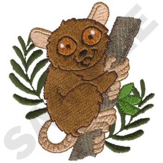 Tarsier