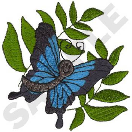 Ulysses Schmetterling
