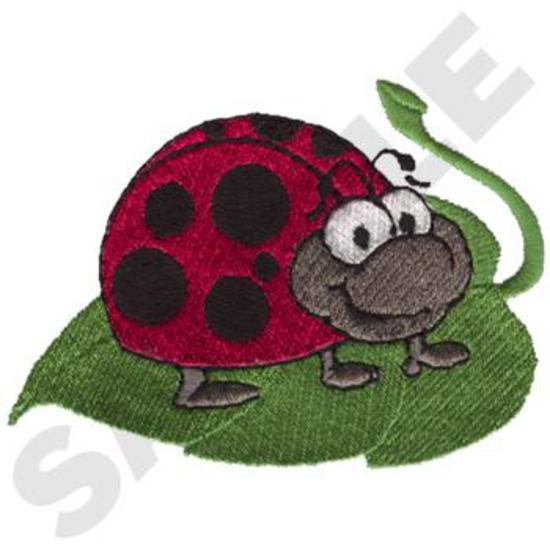 Junge Marienkäfer auf Blatt