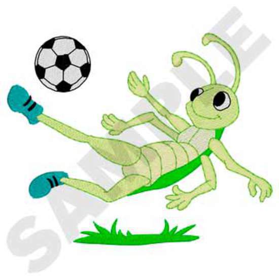 Fußball-Bug