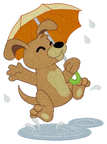 Hund im Regen