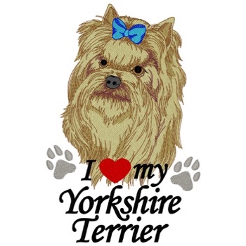 Yorkshire-Terrier