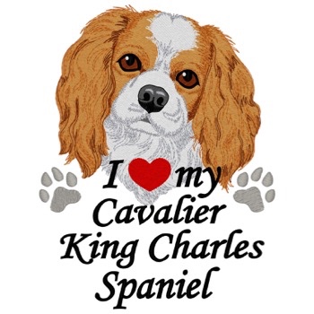 Cavalier King Charles Spaniel