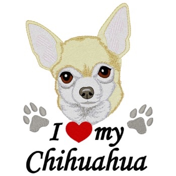 Chihuahua