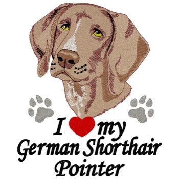 Deutsch Kurzhaar Zeiger