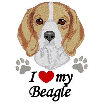 Beagle