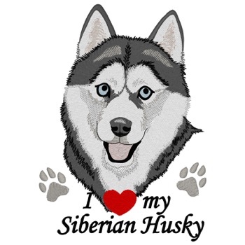 Sibirischer Husky