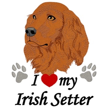 Irish Setter