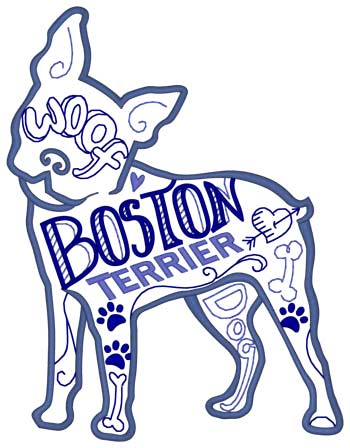 Boston-Terrier