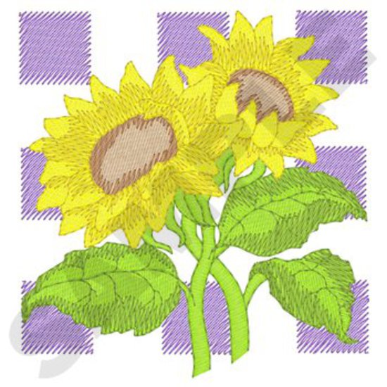 Sonnenblumen