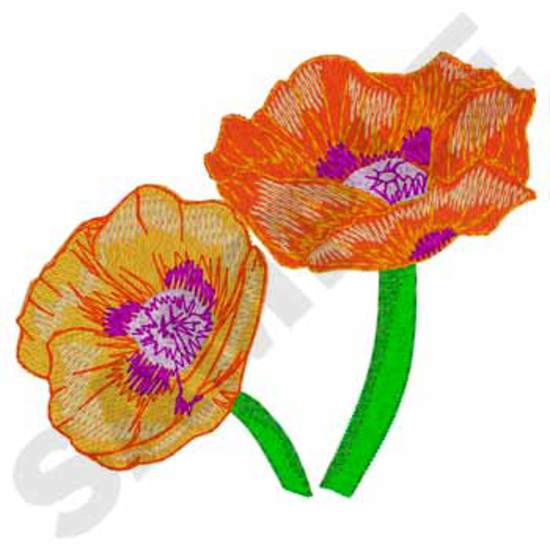 Orientalische Mohnblume