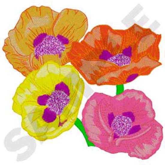 Orientalische Mohnblume