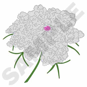 Königin Anne Spitze