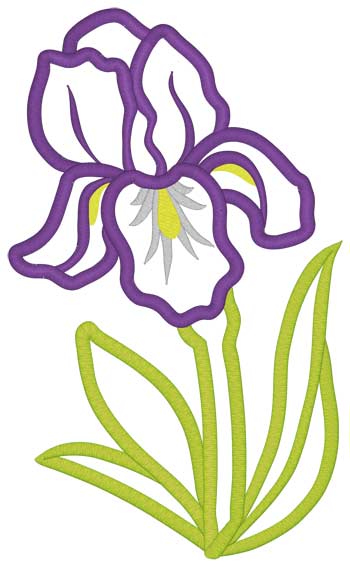 Iris Applique