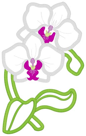 Orchidee Applique