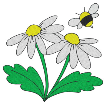 Gänseblümchen & Biene