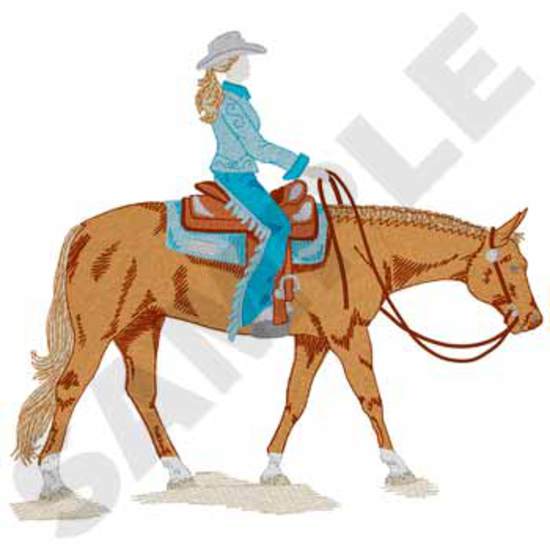 Western Pleasure Reiter