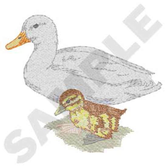 Ente und Entlein