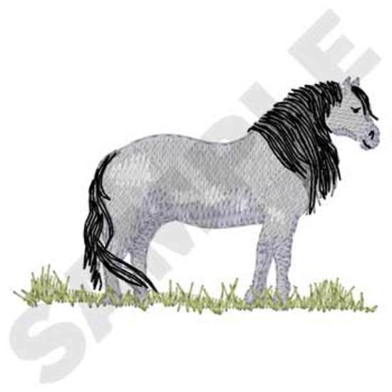 Hochland-Pony