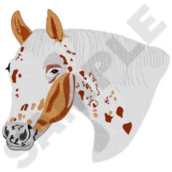 Appaloosa