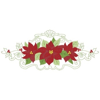 Weihnachtssterne