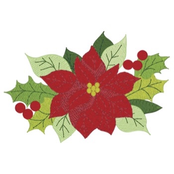 Weihnachtsstern & Holly