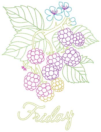 Freitag Brombeeren