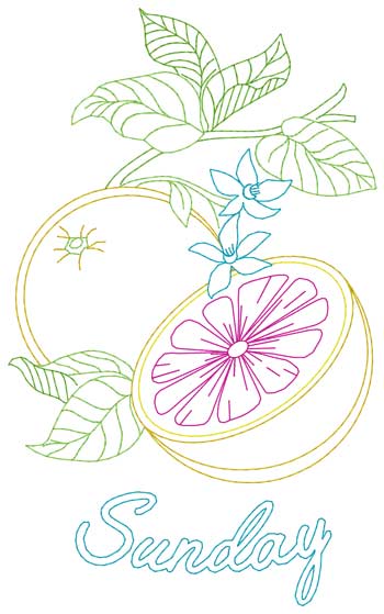 Sonntag Grapefruit
