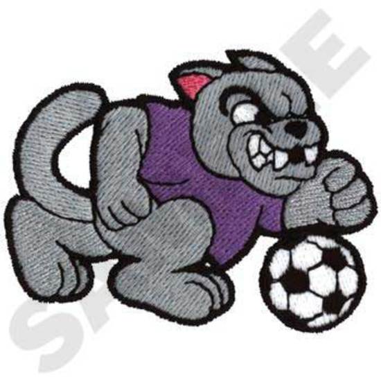 Panther Fußball