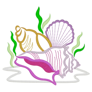 Nautische Muscheln