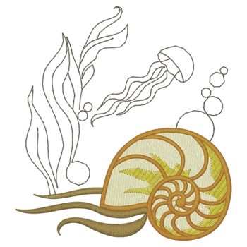 Nautilus-Muschel