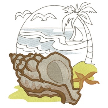 Murex Shell am Strand