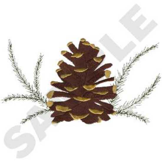 Pine Cone & Zweige