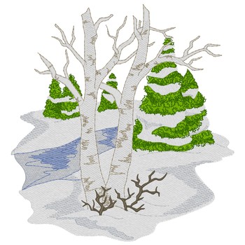 Birke und immergrüne Bäume