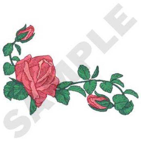 Rosen