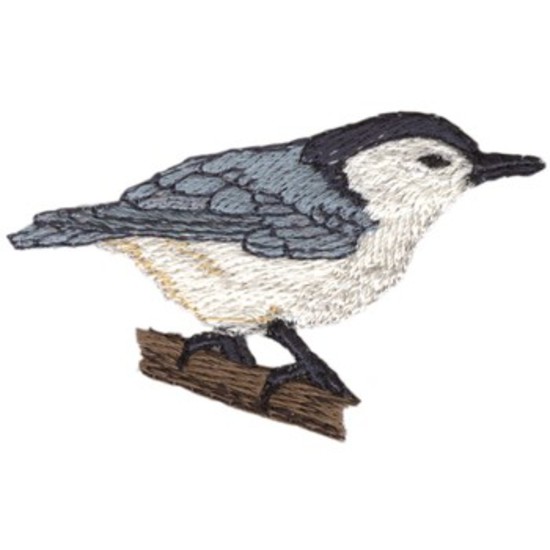 Weißer Breasted Kleiber