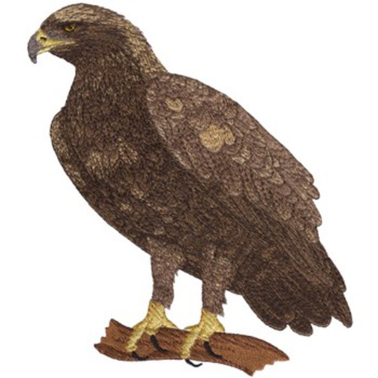 Steinadler