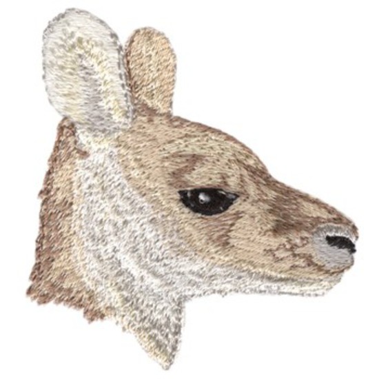 Känguru