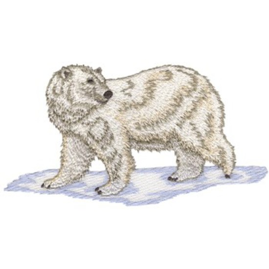 Eisbär