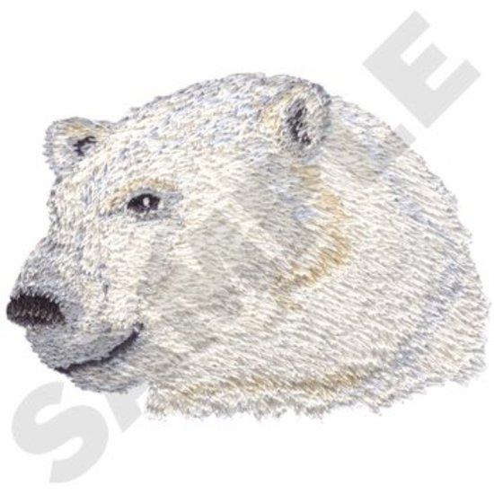 Eisbär