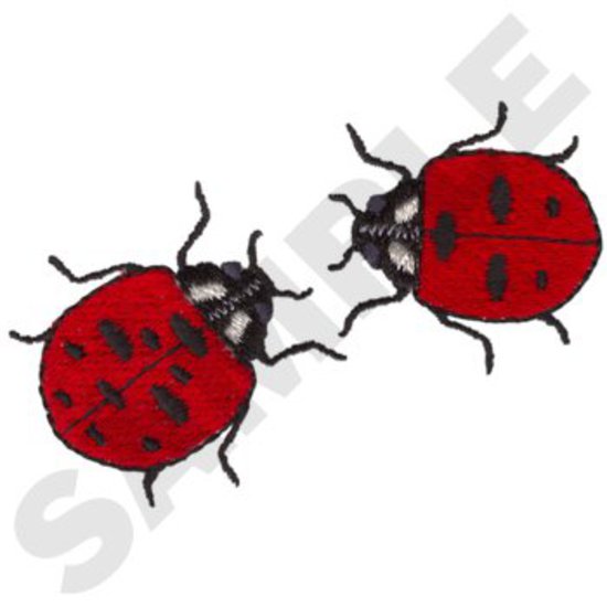 Lady Bugs