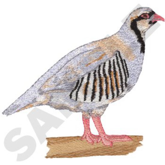 Chukar