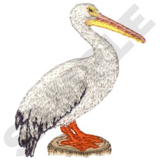 Pelikan
