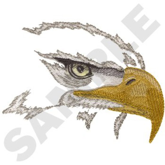 Weißkopfseeadler