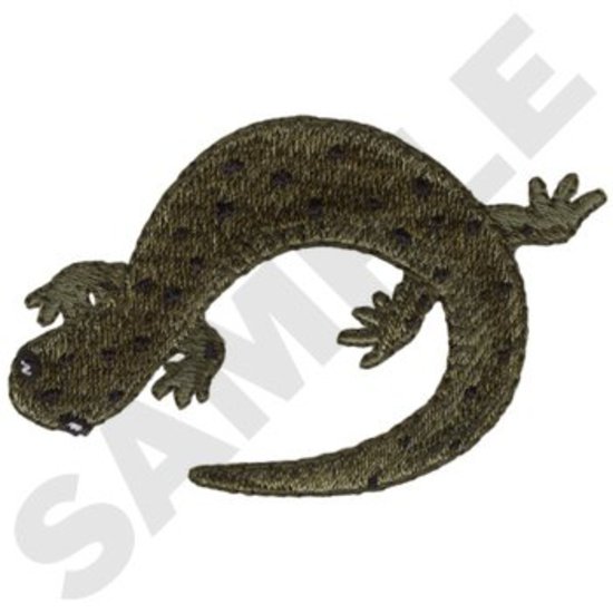Salamander