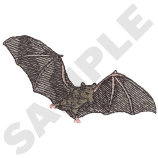 Fruchtfledermaus