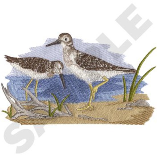 Sandpiper-Szene