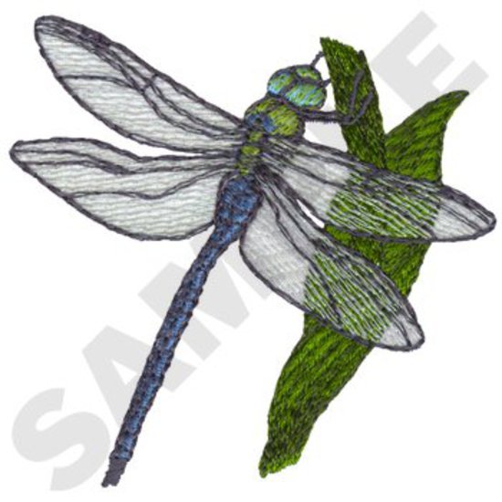 Libelle