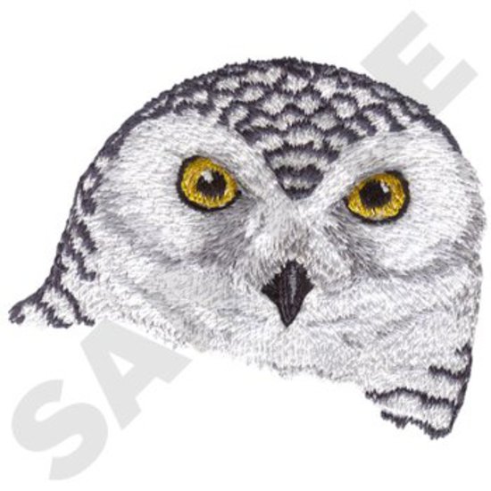 Schneeeule