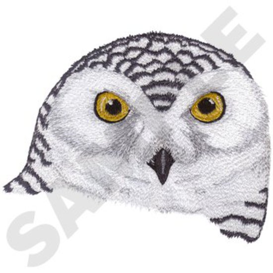 Schneeeule